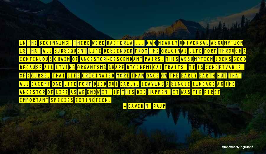 Good Pairs Quotes By David M. Raup Good Pairs Quotes By David M. Raup