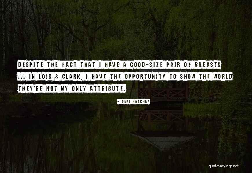 Good Pairs Quotes By Teri Hatcher Good Pairs Quotes By Teri Hatcher