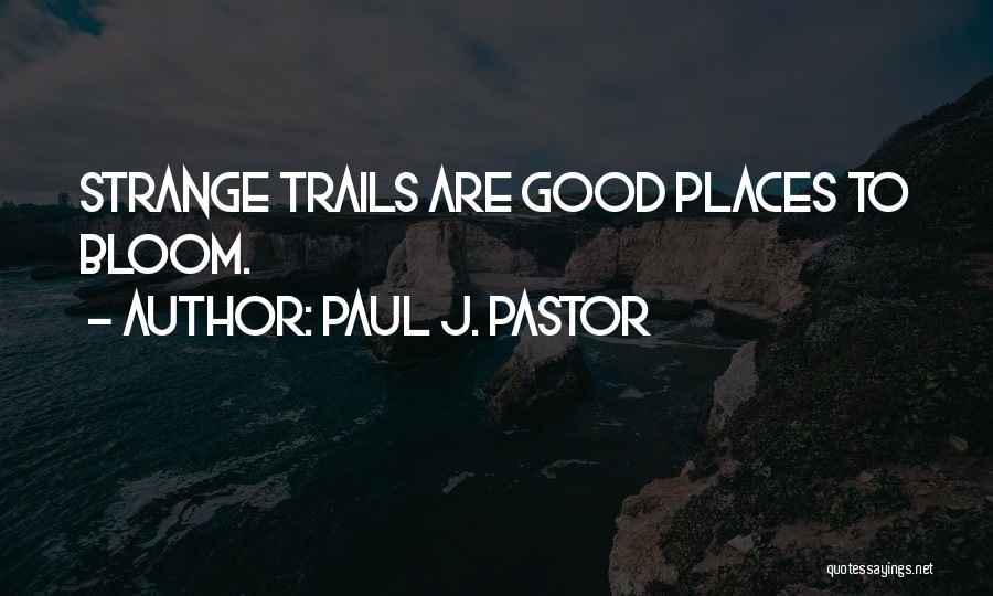 Good Pastor Quotes By Paul J. Pastor