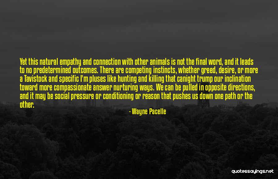 Good Percabeth Quotes By Wayne Pacelle Good Percabeth Quotes By Wayne Pacelle