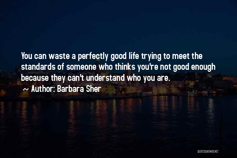 Good Perfectionism Quotes By Barbara Sher