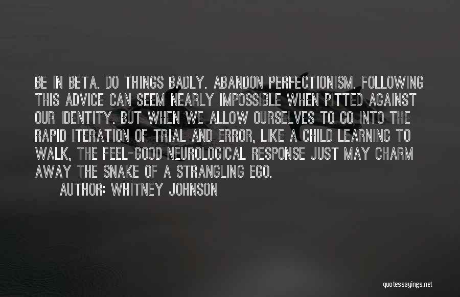 Good Perfectionism Quotes By Whitney Johnson