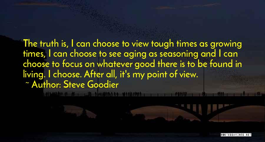 Good Point Of View Quotes By Steve Goodier