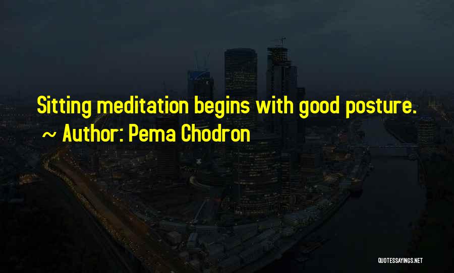 Good Posture Quotes By Pema Chodron