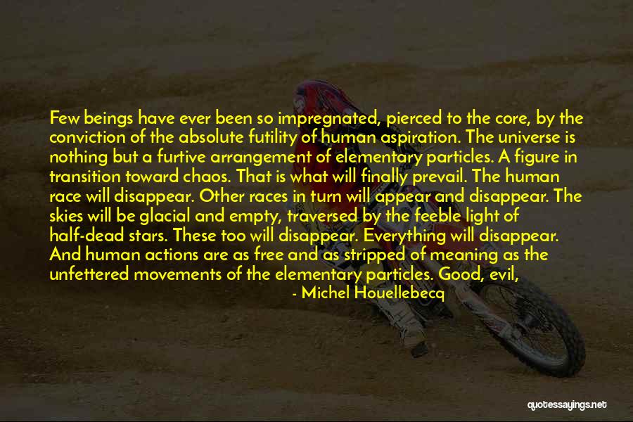Good Prevail Quotes By Michel Houellebecq Good Prevail Quotes By Michel Houellebecq
