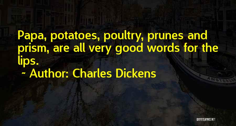 Good Prism Quotes By Charles Dickens