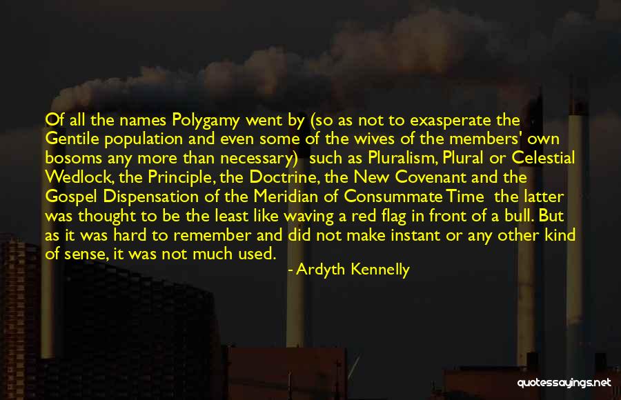 Good Procurement Quotes By Ardyth Kennelly Good Procurement Quotes By Ardyth Kennelly