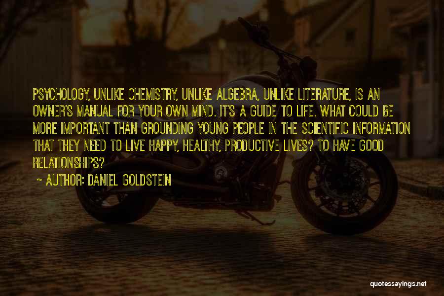 Good Productive Life Quotes By Daniel Goldstein