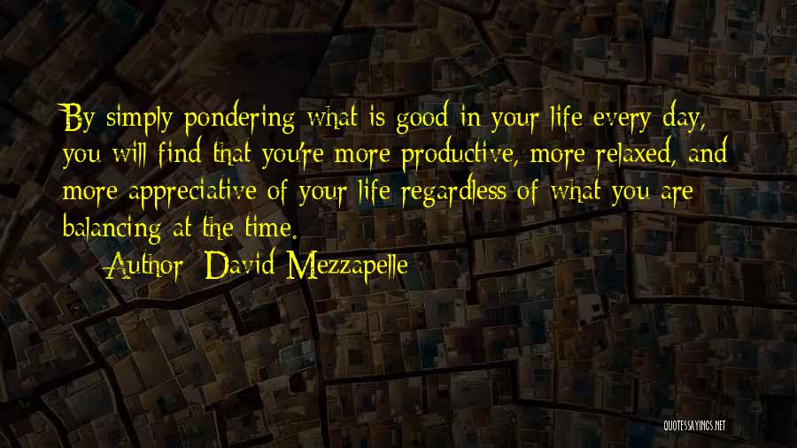 Good Productive Life Quotes By David Mezzapelle