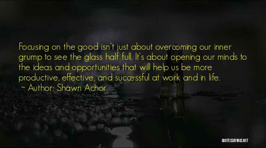 Good Productive Life Quotes By Shawn Achor