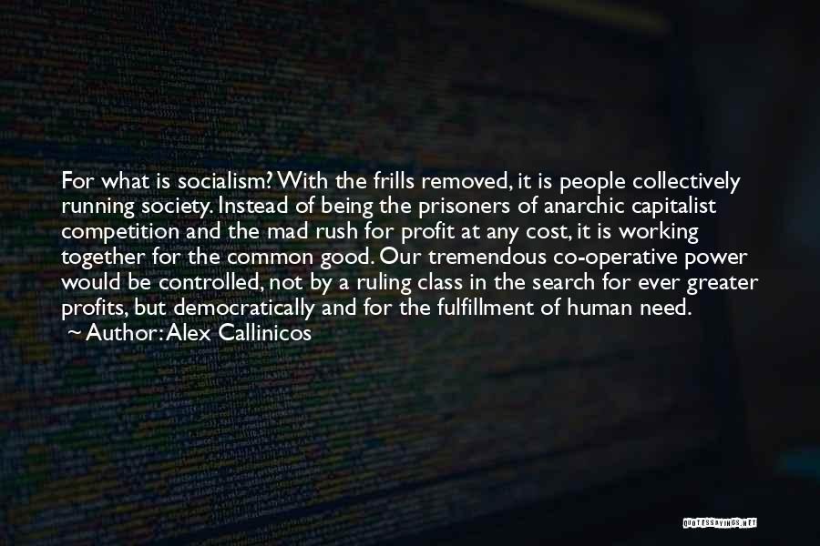 Good Profit Quotes By Alex Callinicos