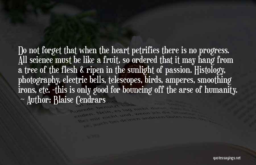 Good Progress Quotes By Blaise Cendrars