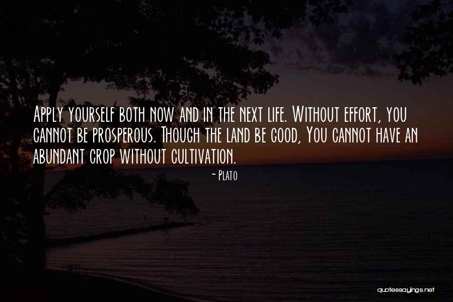 Good Prosperous Life Quotes By Plato