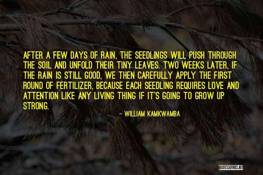Good Push Up Quotes By William Kamkwamba Good Push Up Quotes By William Kamkwamba