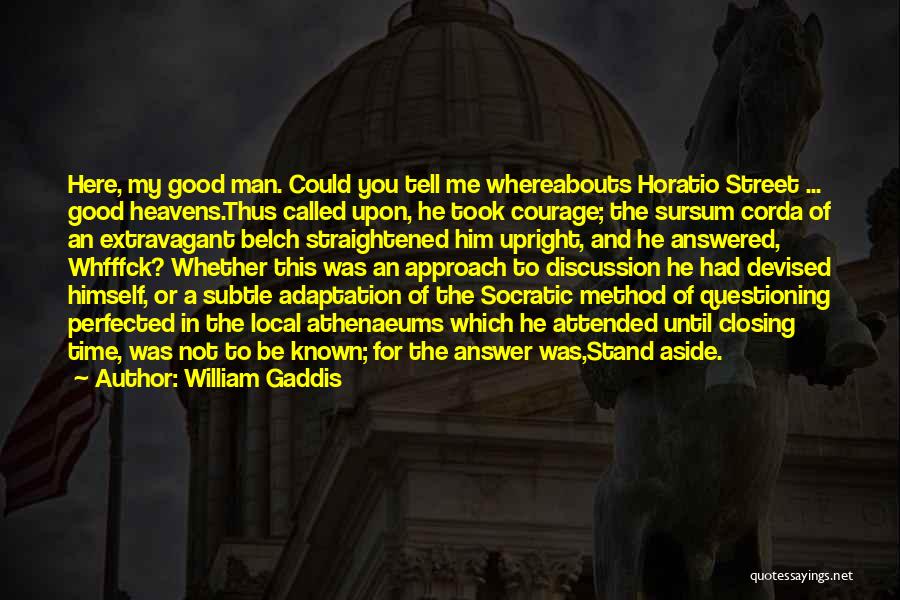 Good Questioning Quotes By William Gaddis