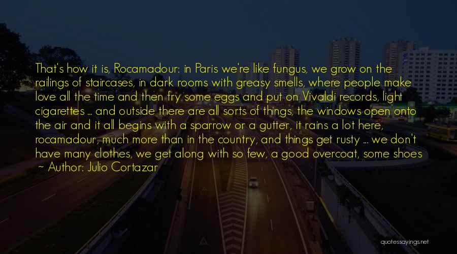 Good Rain Quotes By Julio Cortazar Good Rain Quotes By Julio Cortazar
