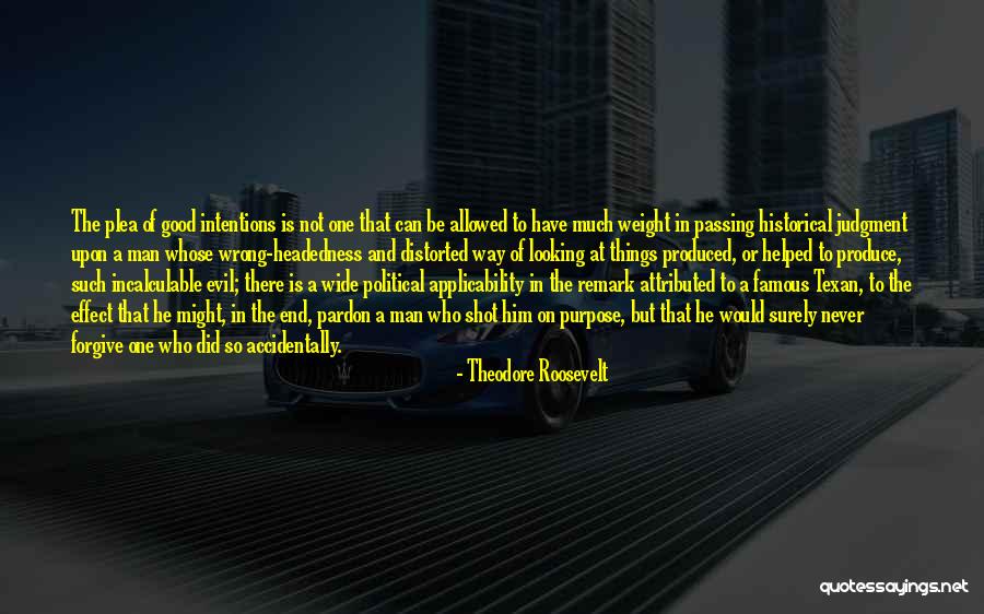 Good Remark Quotes By Theodore Roosevelt