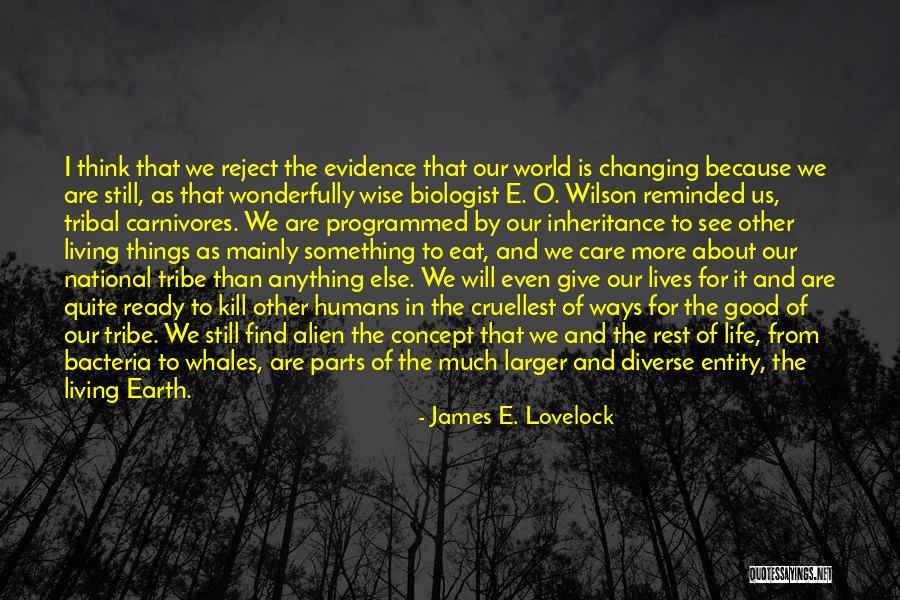 Good Rest Life Quotes By James E. Lovelock Good Rest Life Quotes By James E. Lovelock