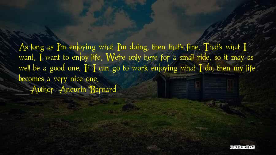 Good Ride Life Quotes By Aneurin Barnard