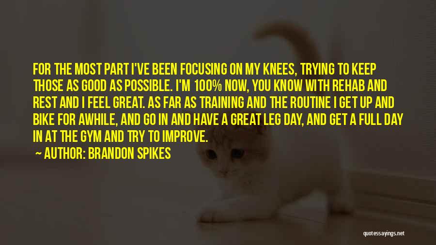 Good Routine Quotes By Brandon Spikes