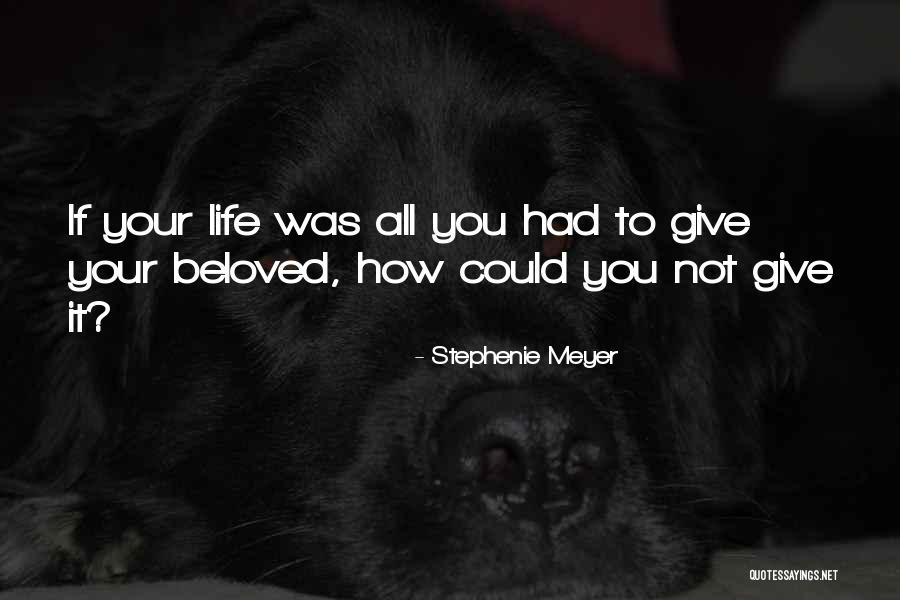 Good Samaritans Quotes By Stephenie Meyer