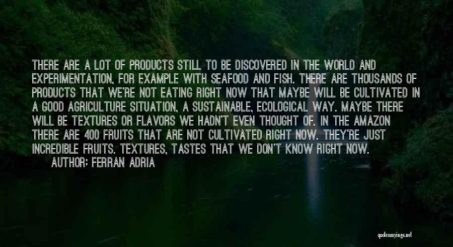 Good Seafood Quotes By Ferran Adria