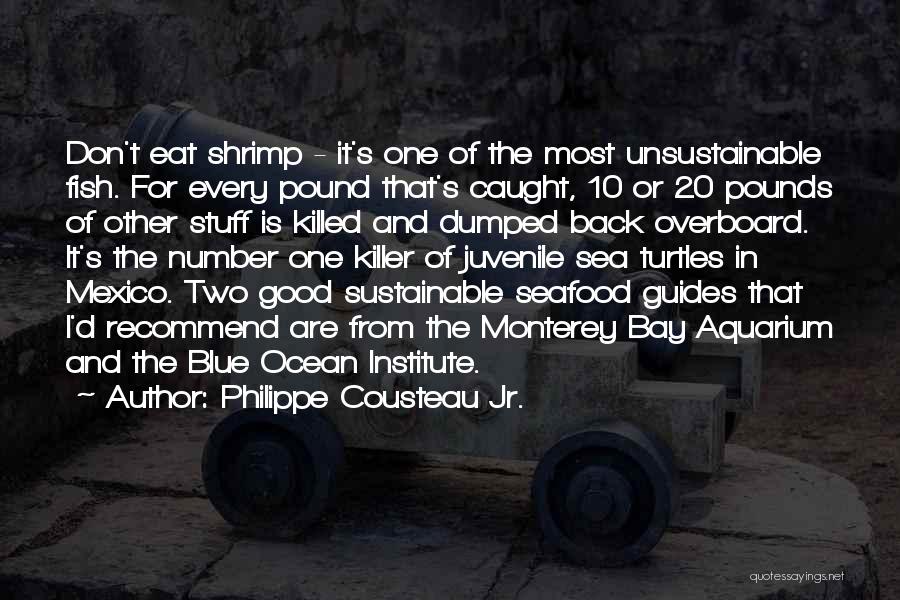 Good Seafood Quotes By Philippe Cousteau Jr.