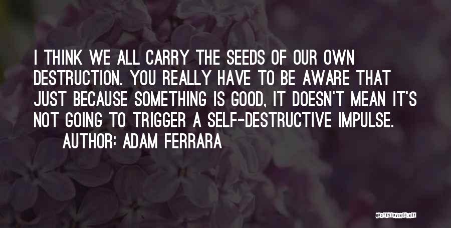 Good Seeds Quotes By Adam Ferrara