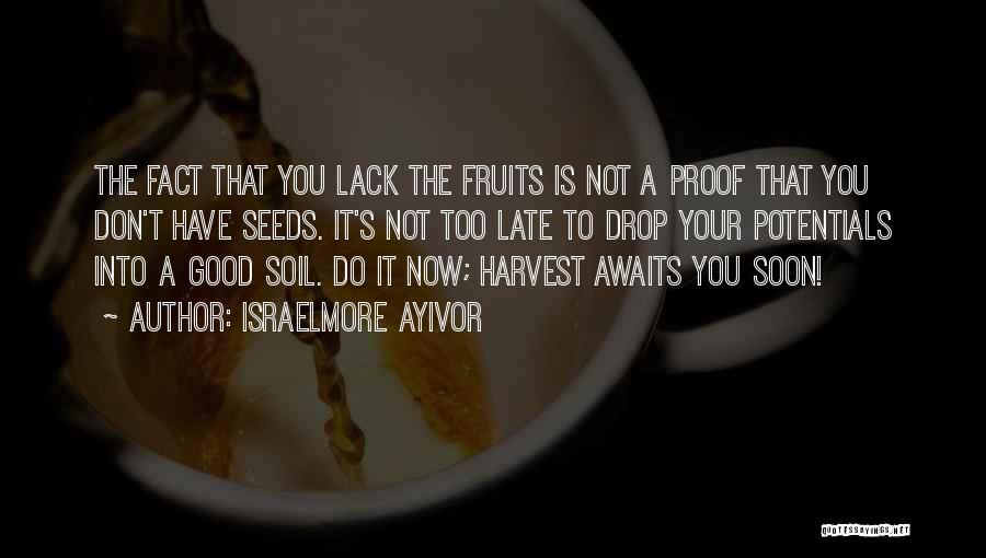 Good Seeds Quotes By Israelmore Ayivor