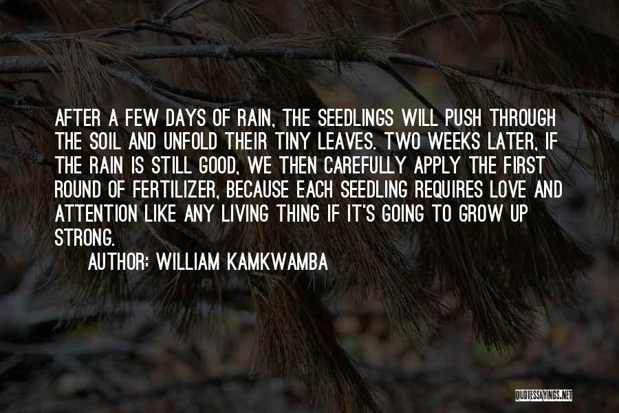 Good Seeds Quotes By William Kamkwamba