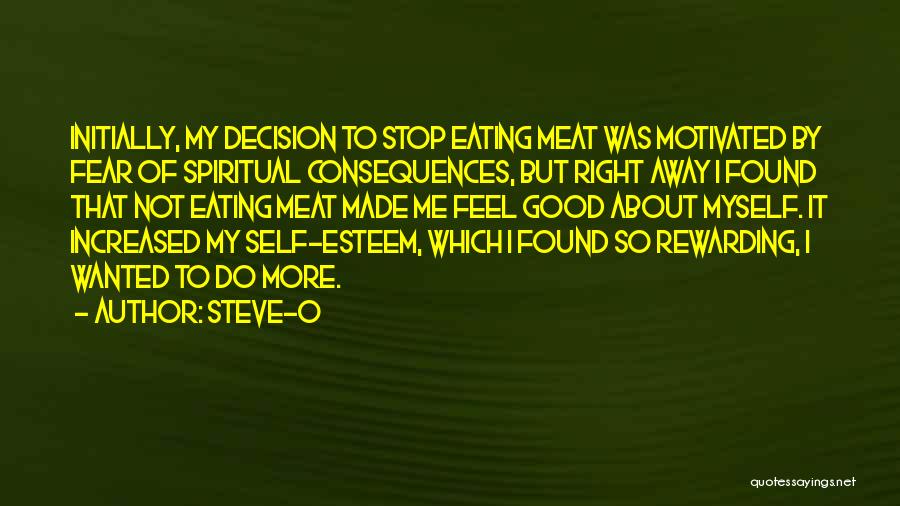 Good Self Made Quotes By Steve-O