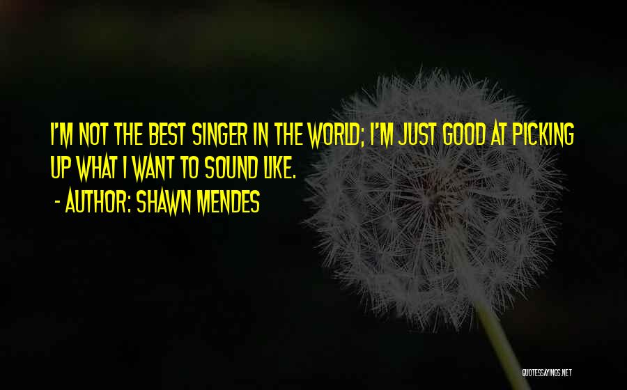 Good Shawn Mendes Quotes By Shawn Mendes