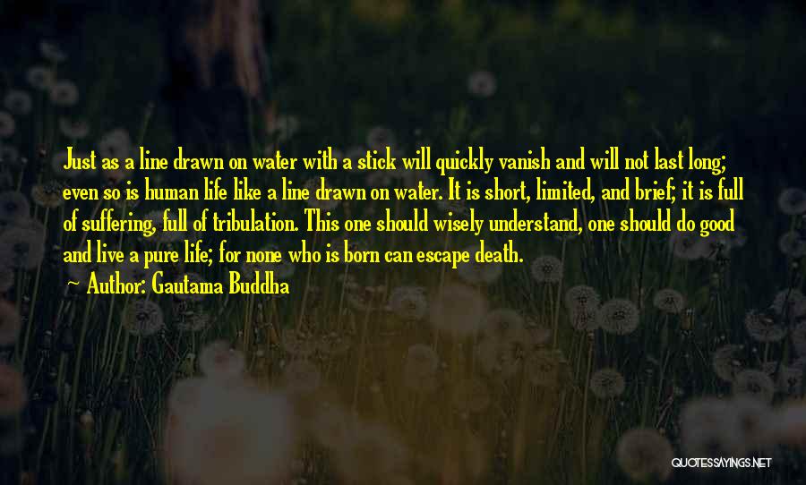 Good Short Death Quotes By Gautama Buddha