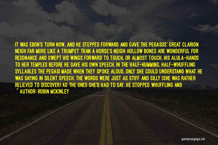 Good Short Horse Quotes By Robin McKinley