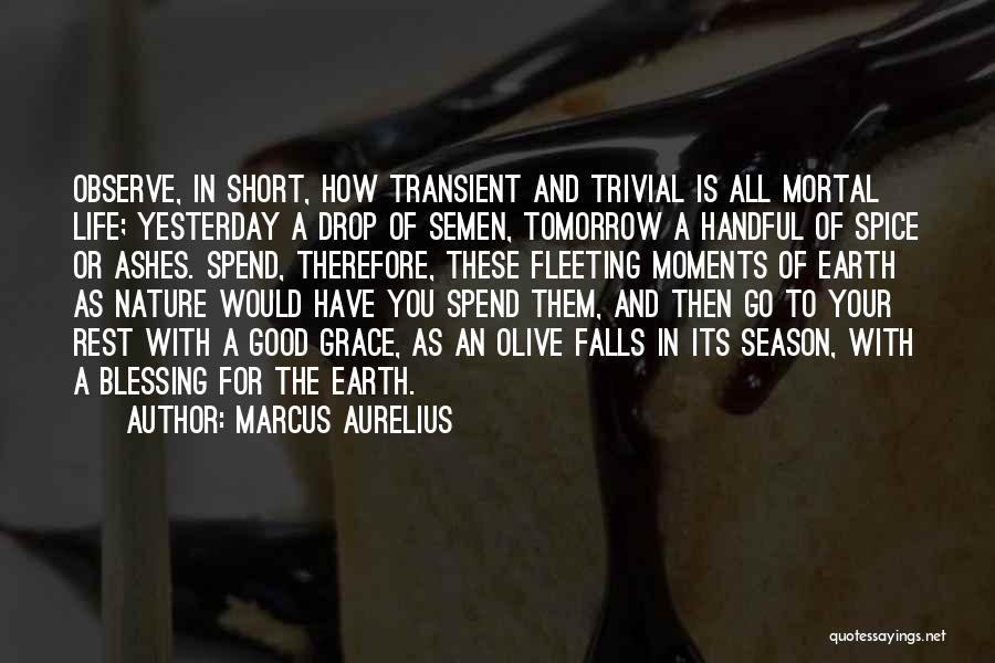 Good Short Nature Quotes By Marcus Aurelius