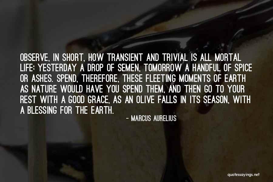 Good Short Nature Quotes By Marcus Aurelius