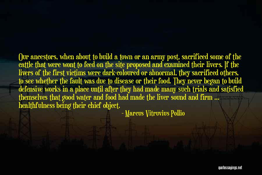 Good Site For Quotes By Marcus Vitruvius Pollio Good Site For Quotes By Marcus Vitruvius Pollio