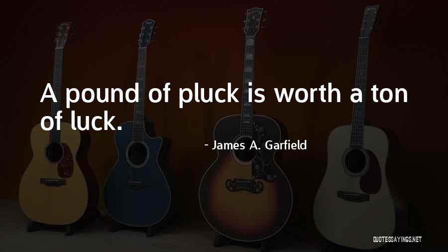 Good Skating Quotes By James A. Garfield Good Skating Quotes By James A. Garfield
