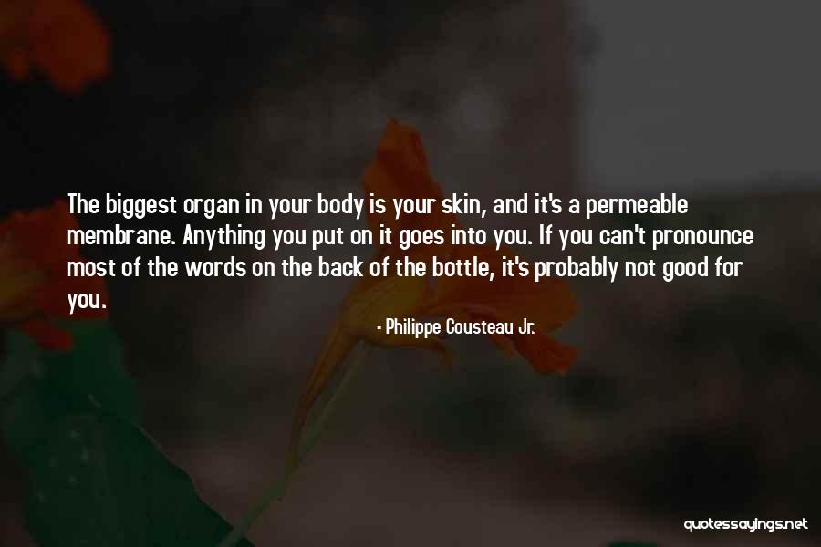 Good Skin Quotes By Philippe Cousteau Jr. Good Skin Quotes By Philippe Cousteau Jr.