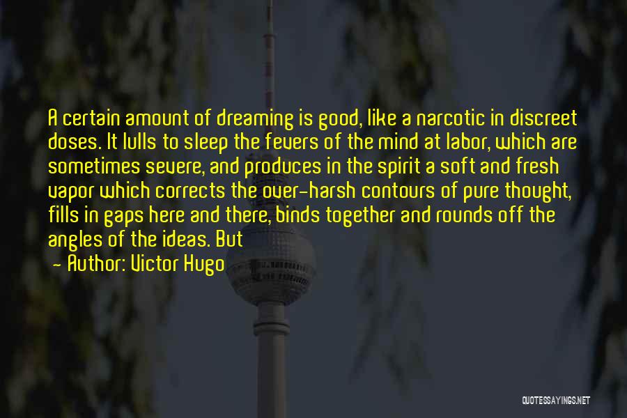 Good Sleep Quotes By Victor Hugo