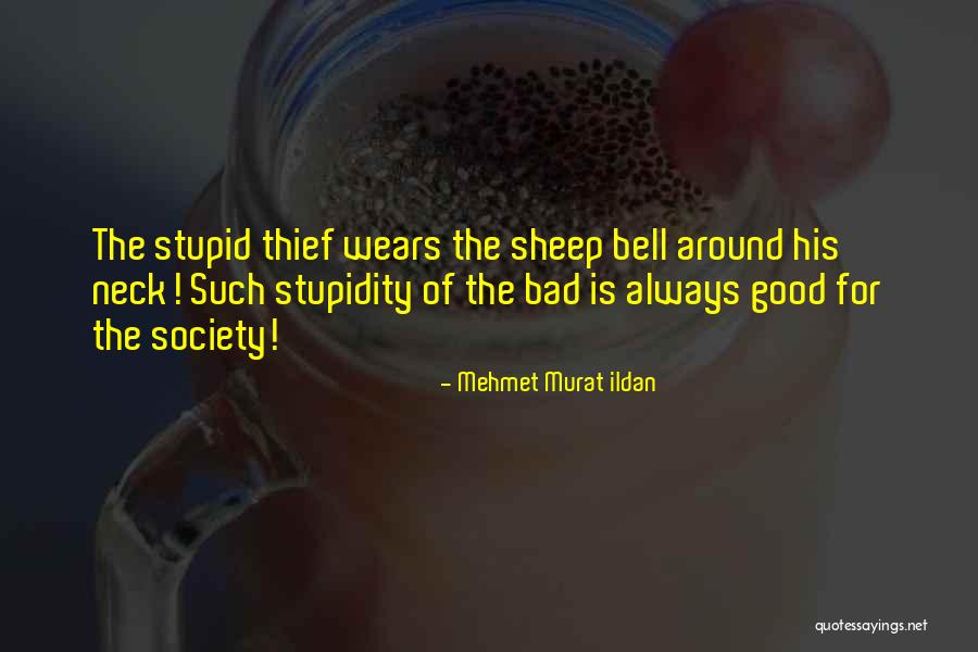 Good Society Quotes By Mehmet Murat Ildan