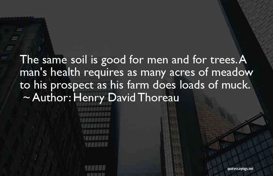 Good Soil Quotes By Henry David Thoreau