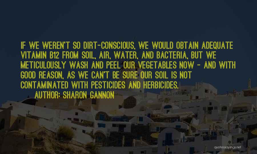 Good Soil Quotes By Sharon Gannon