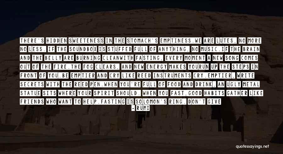 Good Soldiers Quotes By Rumi Good Soldiers Quotes By Rumi