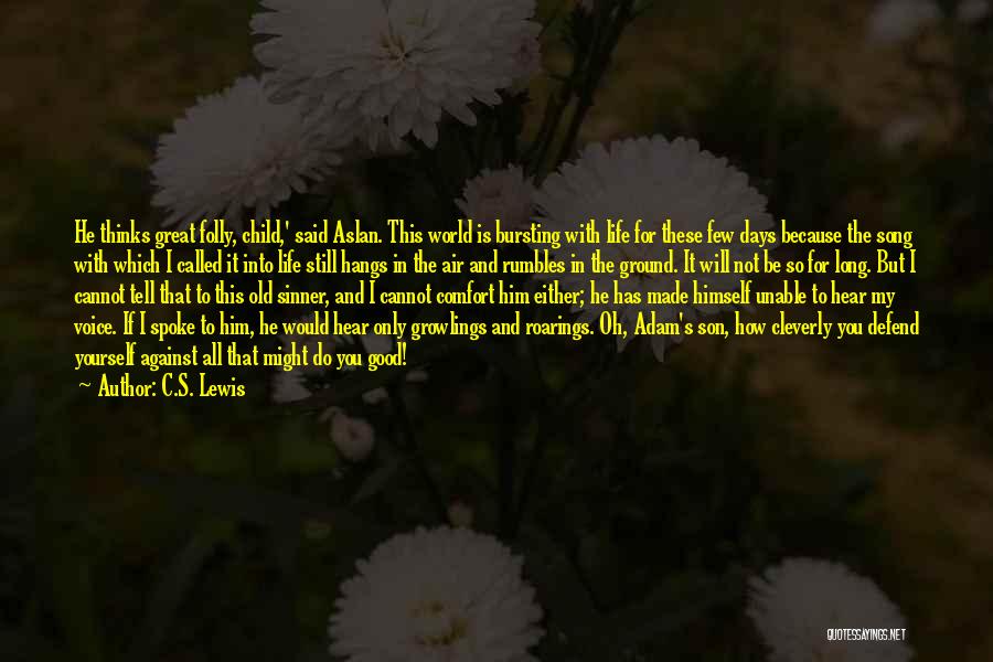 Good Son's Life Quotes By C.S. Lewis