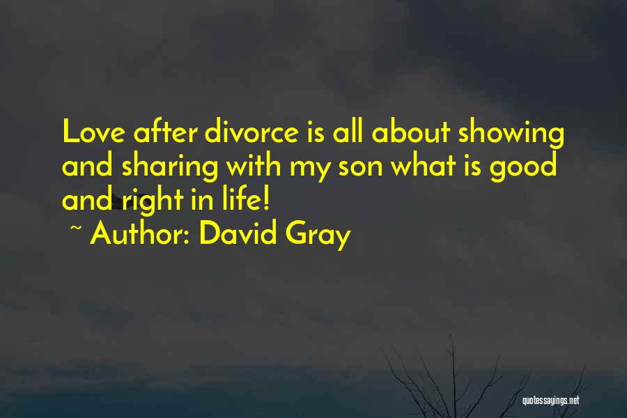 Good Son's Life Quotes By David Gray