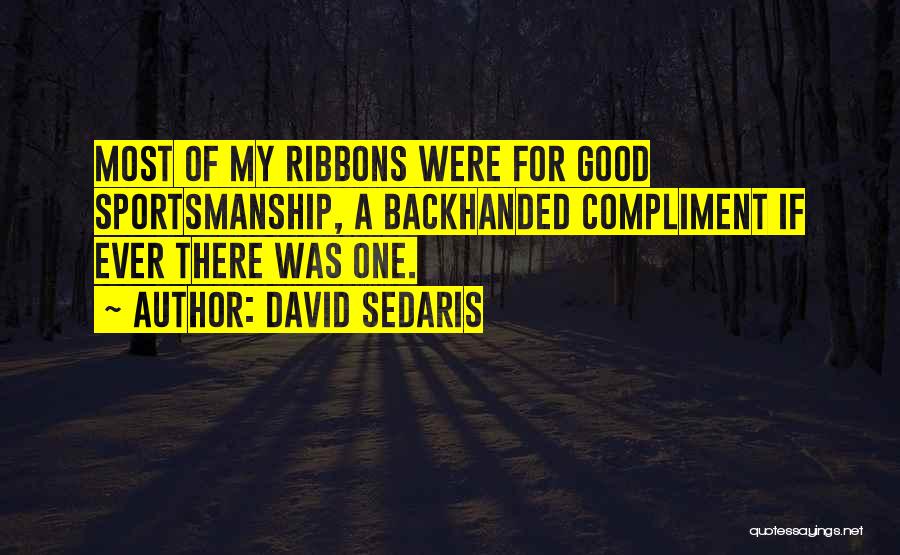 Good Sportsmanship Quotes By David Sedaris