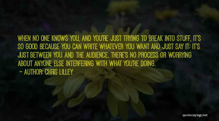 Good Stuff Quotes By Chris Lilley