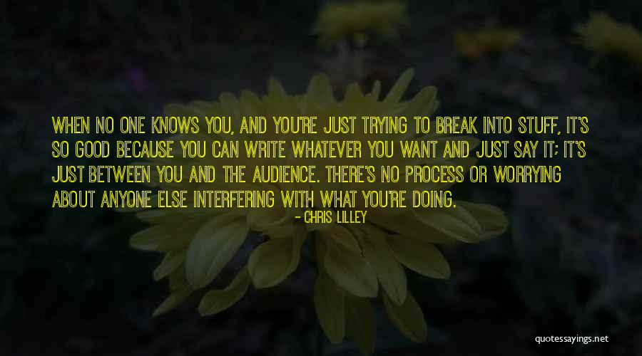 Good Stuff Quotes By Chris Lilley Good Stuff Quotes By Chris Lilley