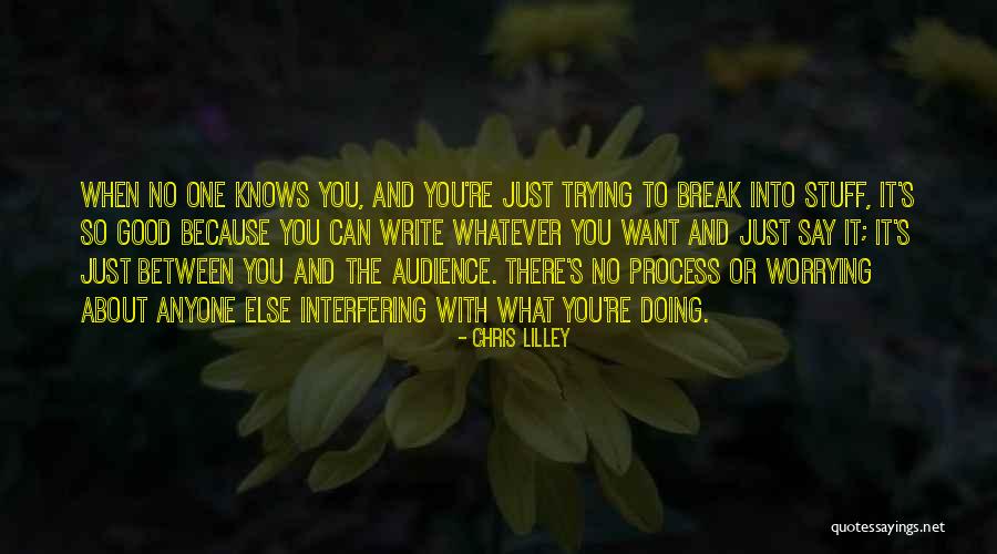 Good Stuff Quotes By Chris Lilley